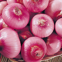 ����15����ؾ�����ʵ����Ҳ������ô��