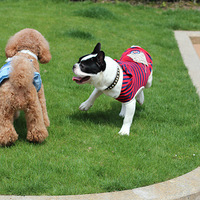 Сɫ����ţ����ë�����Ҹ���һ��