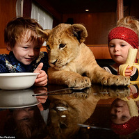 ����Ϸ��3��ѱ��ʦ����ʨͬʳ