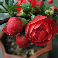 �����ҵġ����Ļ���