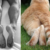 �����˽а��������д��ȳ��а�