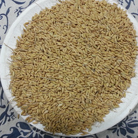 ��ĥ������С���