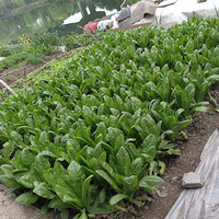 �����ҵ�˽���� ݫ�����