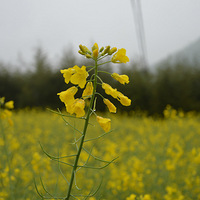 ����ʱ����׷�