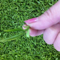 ͩ���л���