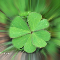 ��Ǭ���ɡ����g������..���������������\..