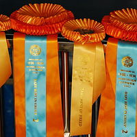 �����Ͼ����ر������������ֲ���������