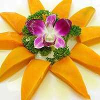 5��θ�� �� ���㳦θ���١�����������