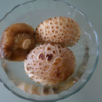 ����ҵ���ʳ--��֭����