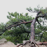 ����Ů����ɽ�Լ��δ��㿴����