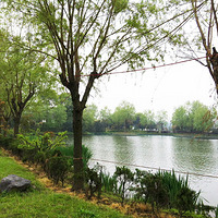 ��ļУ԰��֯�����