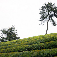 ���������Ͳ˻�ֵ��һ��