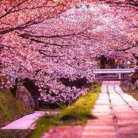  ȫ������ӣ����