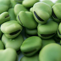 ���ӵ�Ӫ��