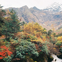 ��������������м���֮��ī�ѡ�