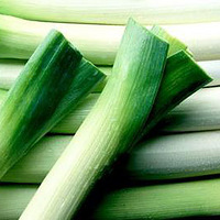 �������ٴ���Ϯ �����������8��ʳ��