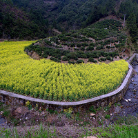 ����ɽ������ʱ��˭�ڸ鴬��������