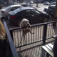 ���а�����ϵ���ȶ���