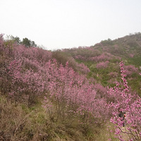 ��ˮѰ���Ͼ��� 