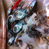 ������������ˬ������Ե���������