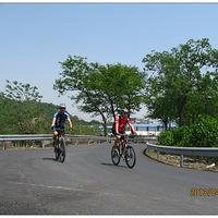 �������������н��ɽ��