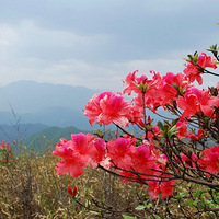 ���ɽ�����û��䣡