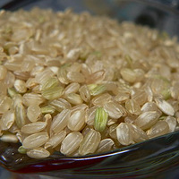 9����ʳ �����ݡ�ÿһ��