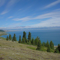 �����½��Σ��������ľ��ӡ��ҹ��С�μǣ�������᡿