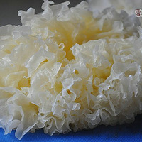 ��ѩ�����������ʥŮ��&ѩ��������