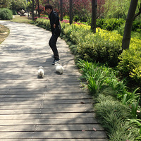 ���ж�����ֻ������