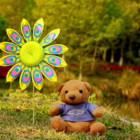 ��Ƭ��21��ˮ�������տ�,��԰������죬�����Ժ���ȫ���̣�~