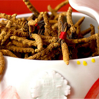 �����Ĳ�֪ʶ�ռ�