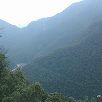 29�յ��ɽ������