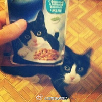 С2�Ӹ�Ц����5�����������!