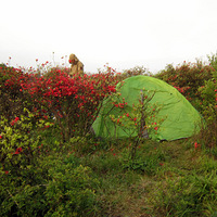 �����԰��羰��