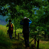 20130505��ͽ�����ϼ�