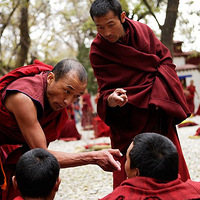 ����������������    ����һ������Ĵ���Ȼ������