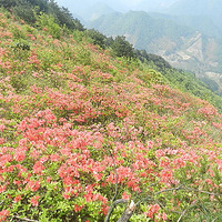 2013��5��5���ٰ�˳Ϫ����ɡ��֮��