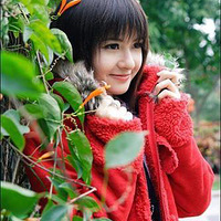 �̵������Ϲ��ϵ�ʮ��������α��