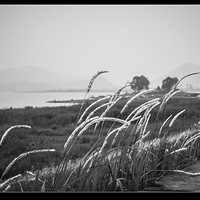 2013.5.5�ຼ�Ϻ����� ��Ұ�����