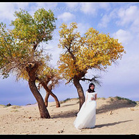 ���ϻ�ɴȥ���У��ҵ�����֮���Σ��������£�