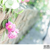 ����Ǿޱ�����ļ���