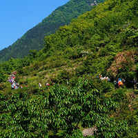 20130512��ͽ��������������ɽ