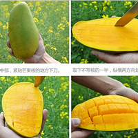 ����ˮ�����ش�â�����������ȹ��������ۣ���ˮ������ľ��