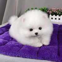 ����̫��������  �̲�ס�����Ц��