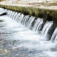 �ﵥ�����Ρ�5��19�� ������ϪҰ�����ﱣ���� �������Ȼ����