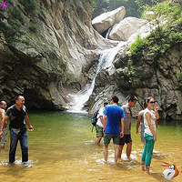 ����-���̶