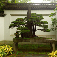 ����ͽ�������š���̡�