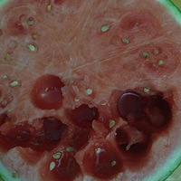 �������� ����������