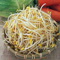 �ٽ����׵�9��Ӫ���߲�